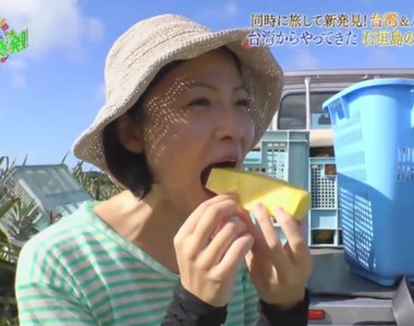 沖繩觀光歷史課《台灣移民建立鳳梨產業》了解這段故事石垣島更好玩……