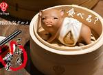 Bid Toys《粗豬食堂》炸豬排、小籠包、東坡肉你想吃哪道?小豬豬:「你捨得吃我嗎QQ」 Bid Toys《粗豬食堂》炸豬排、小籠包、東坡肉你想吃哪道?小豬豬:「你捨得吃我嗎QQ」