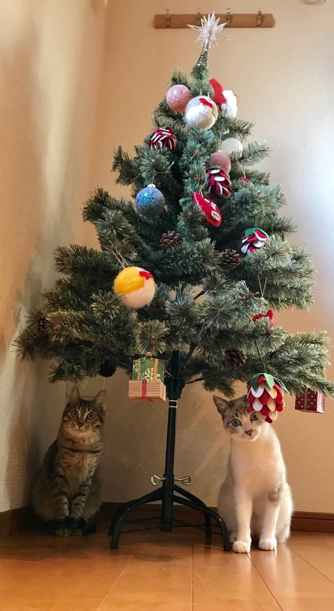 《貓與聖誕樹的戰爭》貓奴辛苦裝好的聖誕樹，對喵來說就是最棒的新玩具(ↀДↀ)✧ - 圖片6