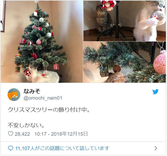 《貓與聖誕樹的戰爭》貓奴辛苦裝好的聖誕樹，對喵來說就是最棒的新玩具(ↀДↀ)✧ - 圖片2
