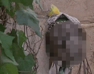 不是恐怖電影的《恐怖電影片單》給小孩看這些真的好嗎(抖)