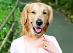 問問男生《長得像黃金獵犬的女生》個性超好能夠接受當女朋友嗎? 問問男生《長得像黃金獵犬的女生》個性超好能夠接受當女朋友嗎?