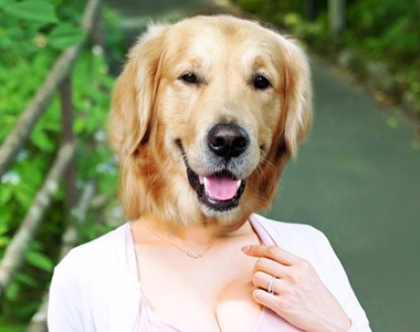問問男生《長得像黃金獵犬的女生》個性超好能夠接受當女朋友嗎?