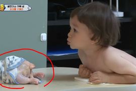 發現雞毛被拔光光《怕雞冷的William》網友吐槽你自己不也....