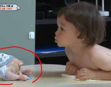 發現雞毛被拔光光《怕雞冷的William》網友吐槽你自己不也....