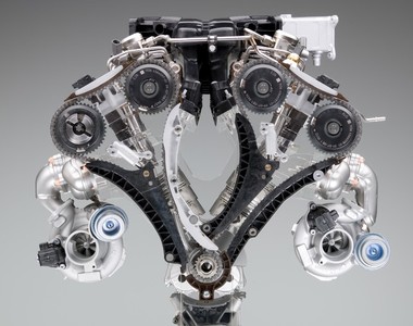 《渦輪車》好難顧？談談蝸牛如何養