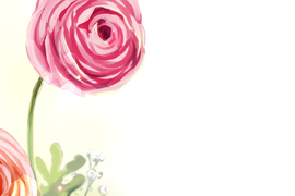 幸福好食光 第37話