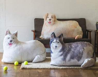 療癒又實用《大型犬抱枕》也是「棉被收納袋」哈士奇、黃金獵犬和薩摩耶幫你解決收納問題♡