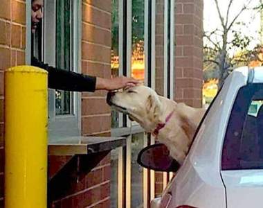 《暖心圖片集》你～累了嗎？偶爾也是要補充一下正能量