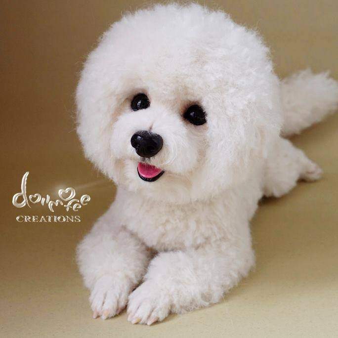 《台湾羊毛毡达人》「Dollmofee」戳出来的小动物们每只都跟真的一样 - 图片4 《台湾羊毛毡达人》「Dollmofee」戳出来的小动物们每只都跟真的一样