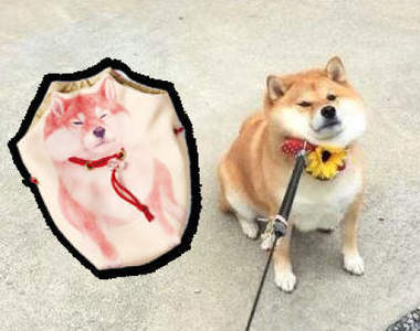 《鬧彆扭柴犬收納袋》偶就是不想出門別帶我出去啊