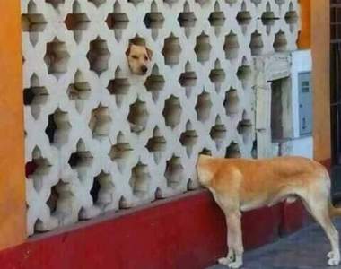 忍不住多看幾次的《錯覺照片》不是我們眼瞎是這些照片真的有亮點