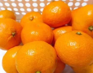 很多人還不知道《原來橘子皮可以做暖暖包》就跟你說錢不能亂花要省下來吼