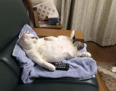 《回過頭看電視的原因》因為網路疲勞有感所以寧願看些單純的東西