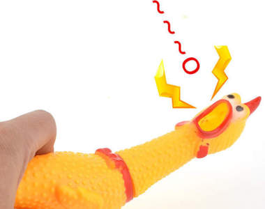 《雙琴俠的尖叫雞演奏》為什麼表情可以這麼淡定啦wwwwwww