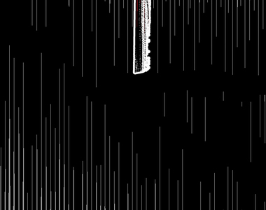 小鸚鵡飼養日記 第20話