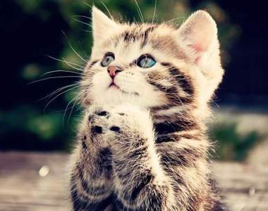 看完後默默心酸《什麼東西是1999年有但2018年沒有》你的答案又是什麼呢?