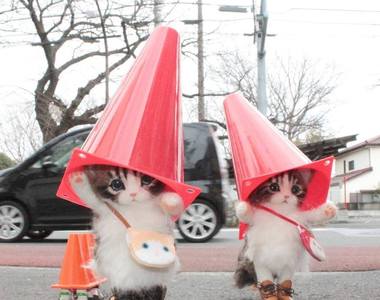 爆萌《帶著羊毛氈貓咪與狗狗去旅行》這可愛到犯規了啊～想抱緊處理（抱）