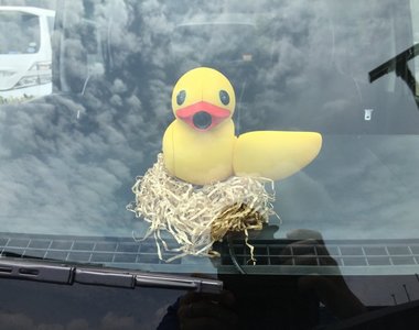 呱呱呱《鴨子造型行車紀錄器》治癒的小東西在車上陪伴你~