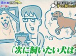 飼主心痛《寵物去世多久再養新寵物》太快迎接新成員很沒人性嗎…… 飼主心痛《寵物去世多久再養新寵物》太快迎接新成員很沒人性嗎……