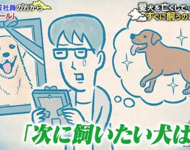 飼主心痛《寵物去世多久再養新寵物》太快迎接新成員很沒人性嗎……