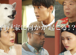 狂熱效應《你的名字「白戶家版」》一夜限定廣告 惡搞的太可愛成功吸睛~ 狂熱效應《你的名字「白戶家版」》一夜限定廣告 惡搞的太可愛成功吸睛~