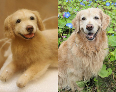 SE作曲家「岩崎英則」已經離世的《愛犬羊毛氈》被身後的小翅膀戳到哭點了