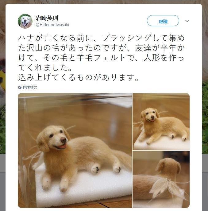 SE作曲家「岩崎英则」已经离世的《爱犬羊毛毡》被身后的小翅膀戳到哭点了 - 图片5 SE作曲家「岩崎英则」已经离世的《爱犬羊毛毡》被身后的小翅膀戳到哭点了