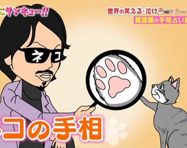手相專家解說《貓咪肉球的5大類別》大家的貓咪個性準不準……