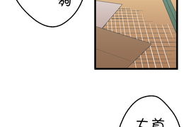 小鸚鵡飼養日記 第43話