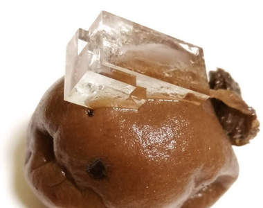 推特瘋傳《梅干上的食鹽結晶》醃了10年的梅干鹽分果然驚人...