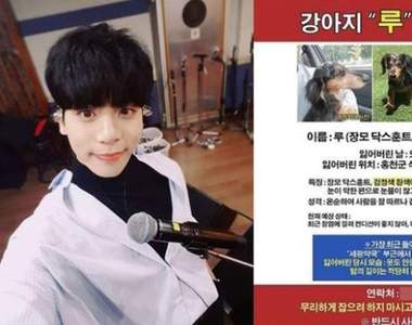 《鐘鉉》愛犬走失親姊請大家協尋 結果找到牠時....竟然在游泳(?)