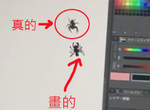 《遇到蜘蛛怎麼辦》那就畫另外一隻出來釘孤支啊