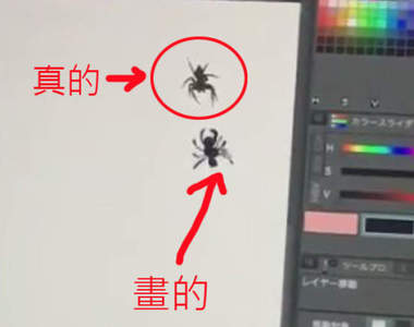 《遇到蜘蛛怎麼辦》那就畫另外一隻出來釘孤支啊