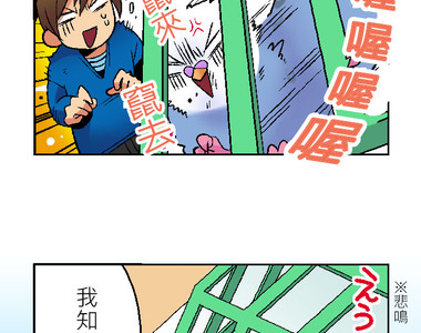 小鸚鵡飼養日記 第6話