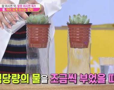 用盆栽解析《喝水時的身體狀況》水不是喝大量就是好