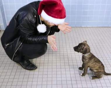 【有片】暖男魔術師《到動物收容所變魔術給狗狗看》看到零食突然不見，嚇一跳反應超可愛♡