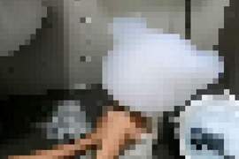 飼主幫《比熊犬》洗澡影片爆紅　意外萌點成為熱搜關鍵