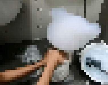 飼主幫《比熊犬》洗澡影片爆紅　意外萌點成為熱搜關鍵