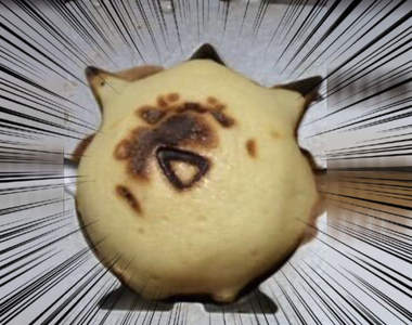 《寶可夢人形燒》打開的瞬間其實有點小期待大爆死