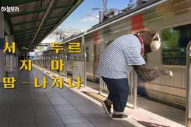 看完忍不住按加速鍵的《樹懶廣告》這...廣...告...非...常...好...看...唷...