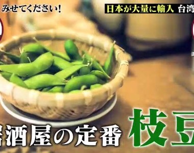 日本綜藝節目追蹤《毛豆之謎》日本居酒屋都被台灣毛豆攻陷了？
