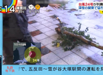 《日本記者神演技》尋找被颱風連根拔起的路樹 換個角度再演一次…… 《日本記者神演技》尋找被颱風連根拔起的路樹 換個角度再演一次……