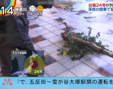 《日本記者神演技》尋找被颱風連根拔起的路樹 換個角度再演一次……