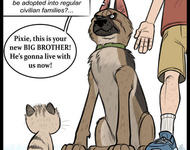 漫畫《退役軍犬與嬌小家貓》同住屋簷下 這貓狗互動太可愛我不行了