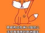 覺得現在的新聞太負面嗎?《好消息插畫》一掃灰暗給你滿滿正能量情報 覺得現在的新聞太負面嗎?《好消息插畫》一掃灰暗給你滿滿正能量情報