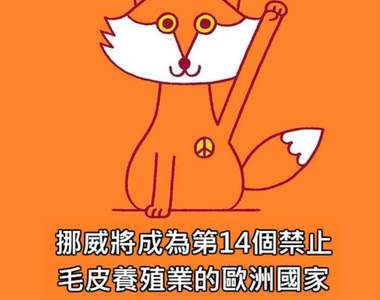 覺得現在的新聞太負面嗎?《好消息插畫》一掃灰暗給你滿滿正能量情報