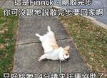 評語超有趣的《狗狗評分推特》滿分十分結果這些狗通通超過十分(笑) 評語超有趣的《狗狗評分推特》滿分十分結果這些狗通通超過十分(笑)