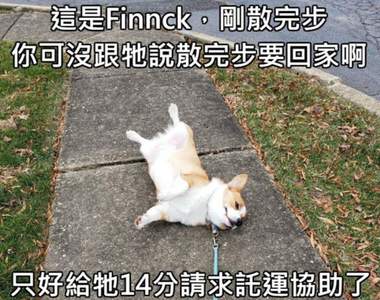 評語超有趣的《狗狗評分推特》滿分十分結果這些狗通通超過十分(笑)