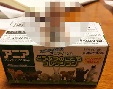 《最讓人火大的隱藏版公仔》說好的可愛毛小孩呢？...（怨）